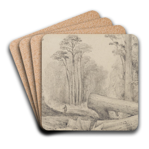 Hutt Road, round the first gorge, looking down by William Swainson Art Drink Coaster set