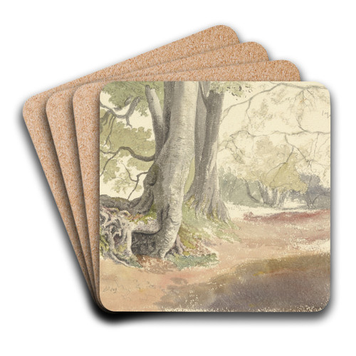 Beech Trees by Robert Hills Art Drink Coaster set