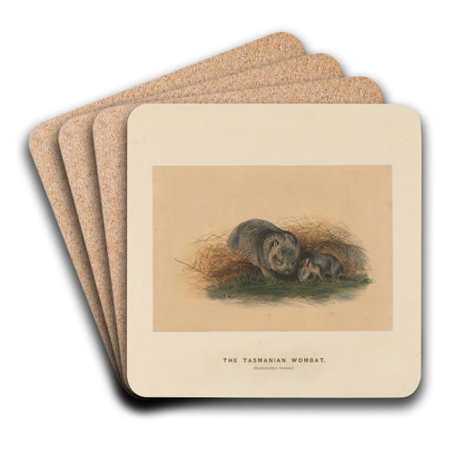 The Tasmanian Wombat by Joseph Wolf Art Drink Coaster set