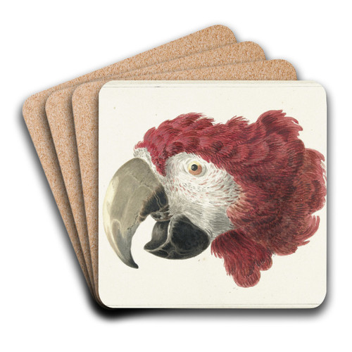 Head of a Macaw by Aert Schouman Art Drink Coaster set