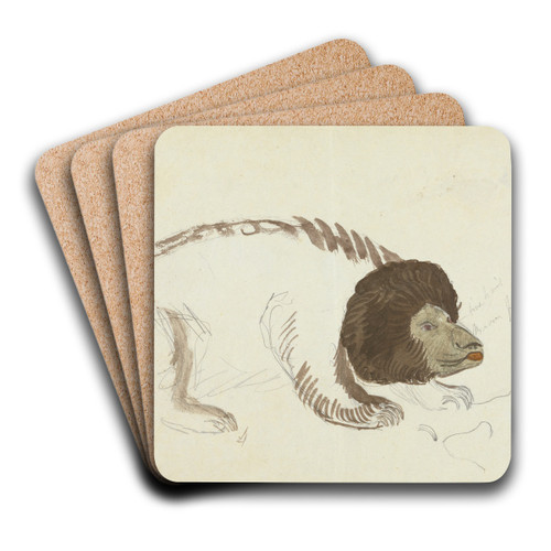 A Bear. by James Sowerby Art Drink Coaster set A Bear. by James Sowerby Art Drink Coaster set