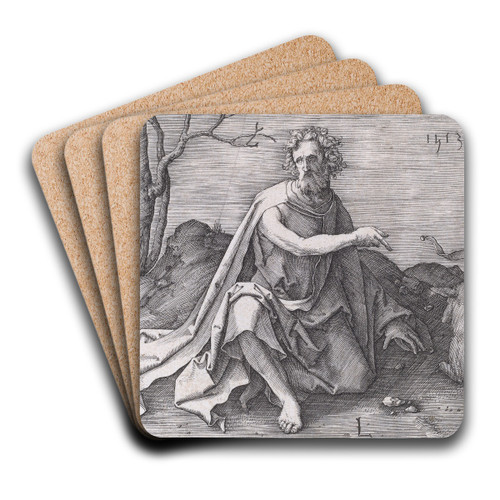 Saint John the Baptist in the Desert by Lucas Van Leyden Art Drink Coaster set
