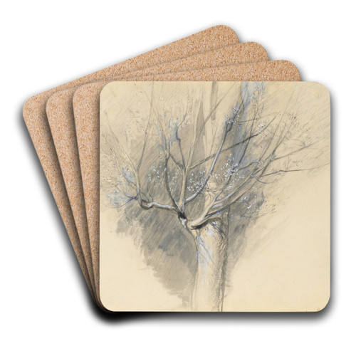 Budding Sycamore by John Ruskin Art Drink Coaster set