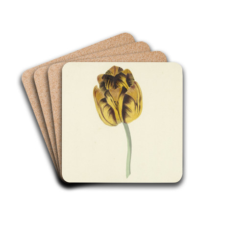 Tulp genaamd Bizard Leodie by Cornelis van Noorde Drink Coasters - set of 4