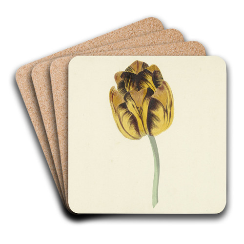 Tulp genaamd Bizard Leodie by Cornelis van Noorde Art Drink Coaster set