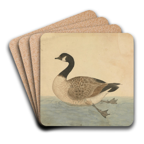 A Goose by James Sowerby Art Drink Coaster set A Goose by James Sowerby Art Drink Coaster set