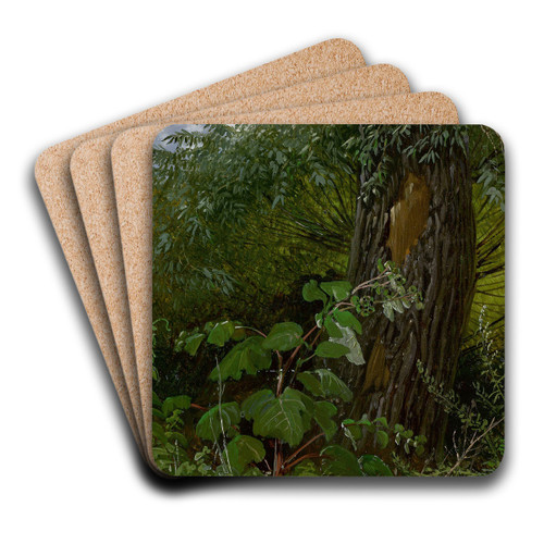 Weidenstamm mit Unterholz by Carl Gustav Carus Art Drink Coaster set