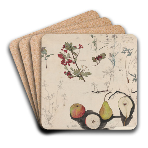 Studieblad met vruchten, planten en bloemen by Theo Nieuwenhuis Art Drink Coaster set