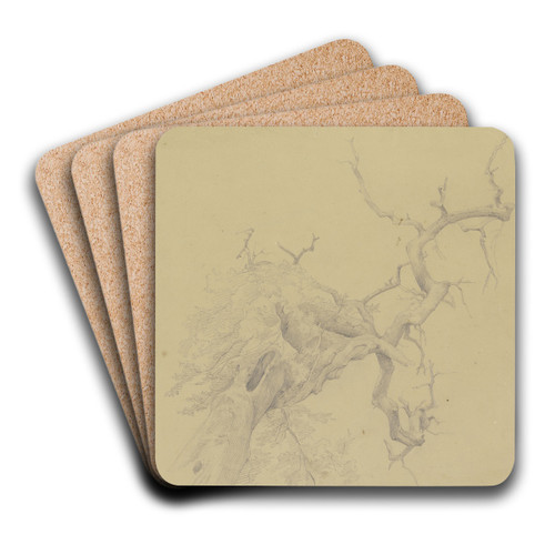 Weitgehend kahler Baum in starker Untersicht by Jakob Becker Art Drink Coaster set