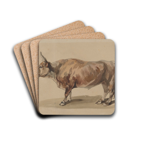 Study of a fawn ox by Piotr Michaowski Drink Coasters - set of 4