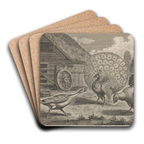 Fable XI. The Peacock, the Turkey, and the Goose by John Wootton Art Drink Coaster set Fable XI. The Peacock, the Turkey, and the Goose by John Wootton Art Drink Coaster set
