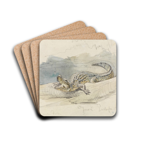 Studie eines Alligators by Ferdinand Keller Drink Coasters - set of 4