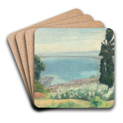 Baie d'Alger vue d'El Biar by Albert Marquet Art Drink Coaster set