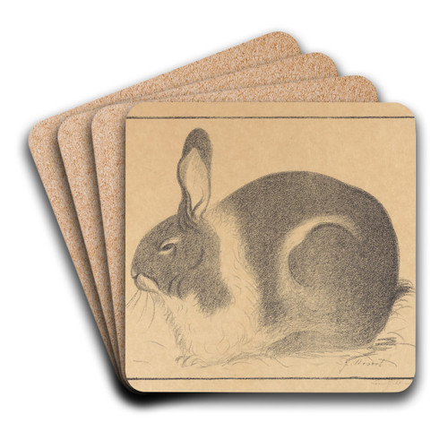 Konijn by Lon Spilliaert Art Drink Coaster set Konijn by Lon Spilliaert Art Drink Coaster set