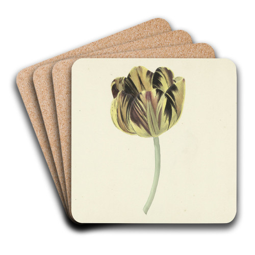 Tulp genaamd Bizard Rosette by Cornelis van Noorde Art Drink Coaster set