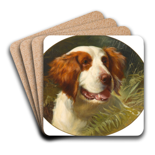 A Brittany spaniel by George Earl Art Drink Coaster set