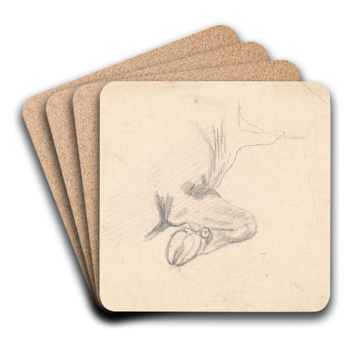 Study of a Cow's Hoof by Sawrey Gilpin Art Drink Coaster set