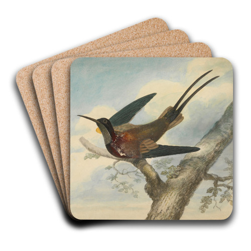 Bird of Paradise by James Sowerby Art Drink Coaster set