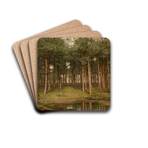 Fir Wood at Putte by Jean Pierre Franois Lamorinire Drink Coasters - set of 4