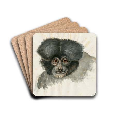 Head of a monkey by Floris Verster Drink Coasters - set of 4 Head of a monkey by Floris Verster Drink Coasters - set of 4