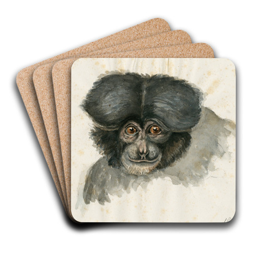Head of a monkey by Floris Verster Art Drink Coaster set Head of a monkey by Floris Verster Art Drink Coaster set