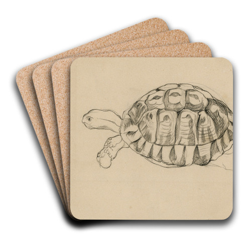 Een schildpad by Theo van Hoytema Art Drink Coaster set