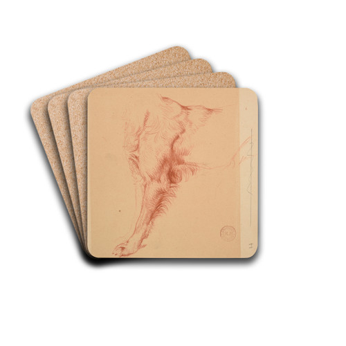 tude de patte de chien. by Jacques-Raymond Brascassat Drink Coasters - set of 4