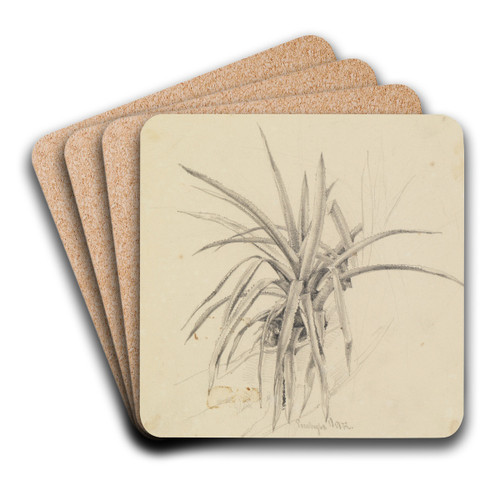 Kaktus-Studie by Ferdinand Keller Art Drink Coaster set