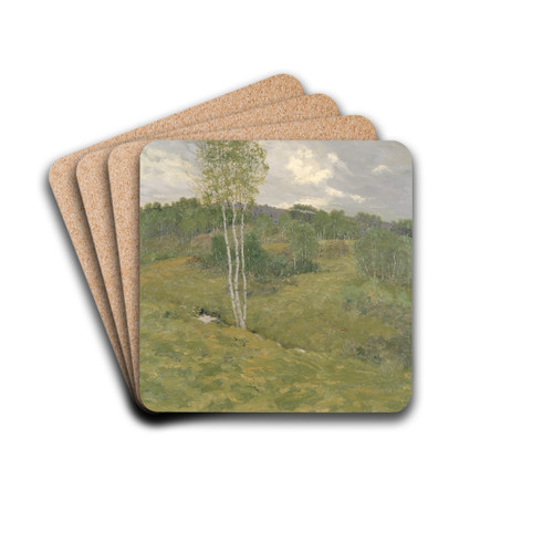 Birch-Clad Hills by Ben Foster Drink Coasters - set of 4