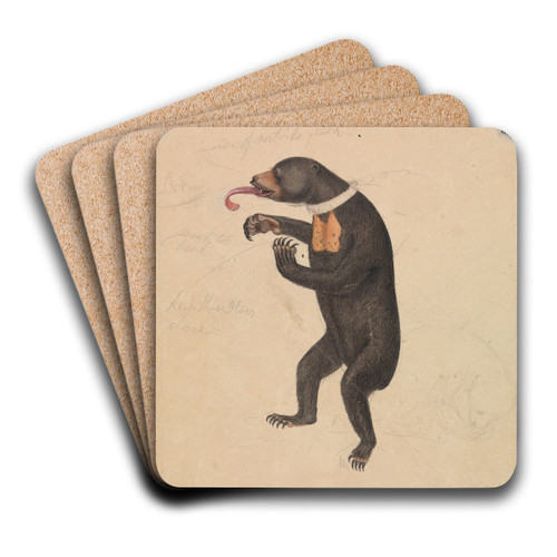 A Sun-Bear by James Sowerby Art Drink Coaster set A Sun-Bear by James Sowerby Art Drink Coaster set
