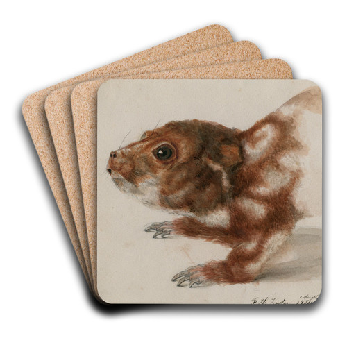 Head of a cuscus by Floris Verster Art Drink Coaster set Head of a cuscus by Floris Verster Art Drink Coaster set