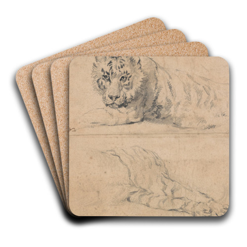 Two Studies of a Tiger; above; Head and Shoulders; below; Hindquarters by James Ward Art Drink Coaster set