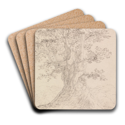 Tree Study by Henry Swinburne Art Drink Coaster set