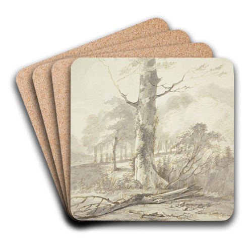 Buchenstamm am Waldrand, davor ein abgefallener Ast by Gerard van Nijmegen Art Drink Coaster set Buchenstamm am Waldrand, davor ein abgefallener Ast by Gerard van Nijmegen Art Drink Coaster set