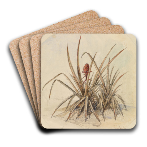 Blhende Ananas by Ferdinand Keller Art Drink Coaster set