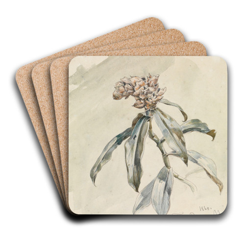 Pflanzenstudie by Ferdinand Keller Art Drink Coaster set Pflanzenstudie by Ferdinand Keller Art Drink Coaster set