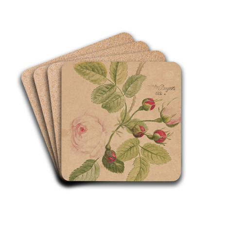Rose twig - rosa centifolia by Henryka Beyer Drink Coasters - set of 4 Rose twig - rosa centifolia by Henryka Beyer Drink Coasters - set of 4