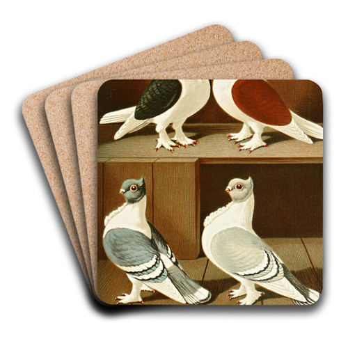 C. turbitinae by Gustav Prtz Art Drink Coaster set