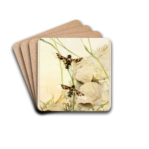 The Anthrax Fly by Edward Julius Detmold Drink Coasters - set of 4