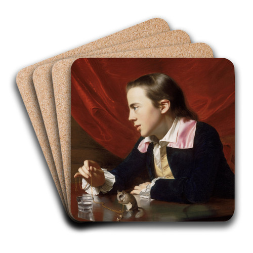 A Boy With A Flying Squirrel (Henry Pelham) by John Singleton Copley Art Drink Coaster set