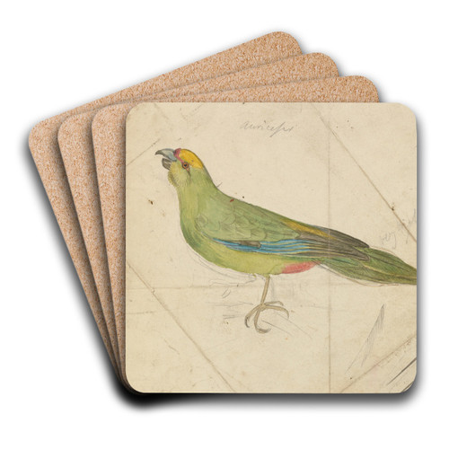 A Parrot by James de Carle Sowerby Art Drink Coaster set A Parrot by James de Carle Sowerby Art Drink Coaster set