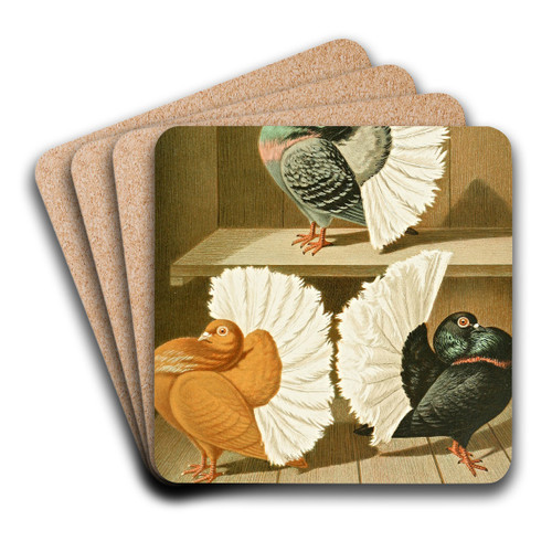 C. laticaudae II by Gustav Prtz Art Drink Coaster set