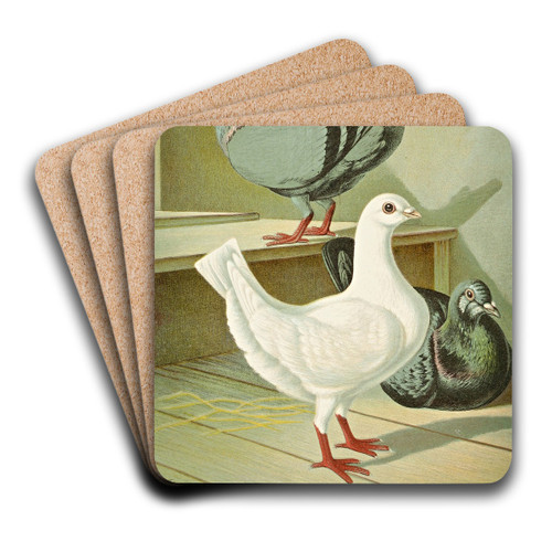 C. brevicauda by Gustav Prtz Art Drink Coaster set