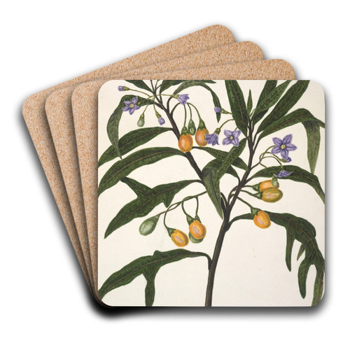 Poroporo by Sarah Featon Art Drink Coaster set