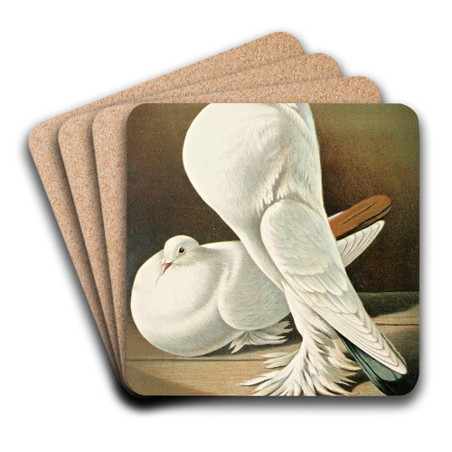 C. gutturosa maxima Pom by Gustav Prtz Art Drink Coaster set