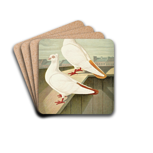 Farbenscwnziger Tmmler by Gustav Prtz Drink Coasters - set of 4