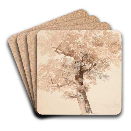 tude d'arbre by Jacques-Raymond Brascassat Art Drink Coaster set