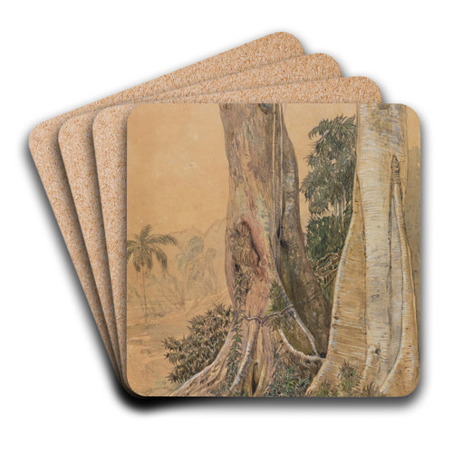 Figeira-Stmme am Ufer des Parahyba by Ferdinand Keller Art Drink Coaster set