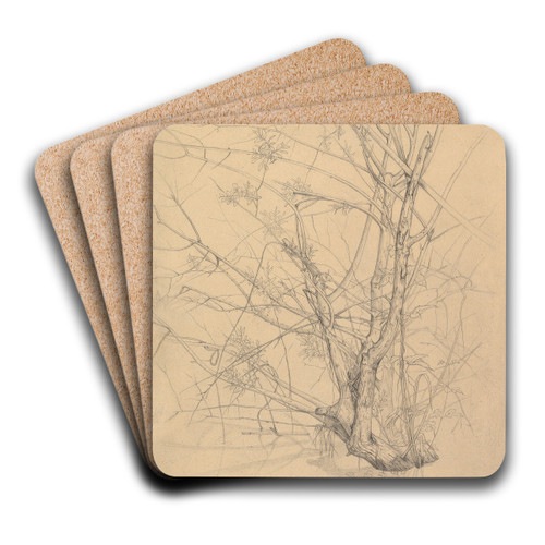 Study of a Tree Standing in Water in the Dsseldorf Hofgarten by Johann Wilhelm Preyer Art Drink Coaster set