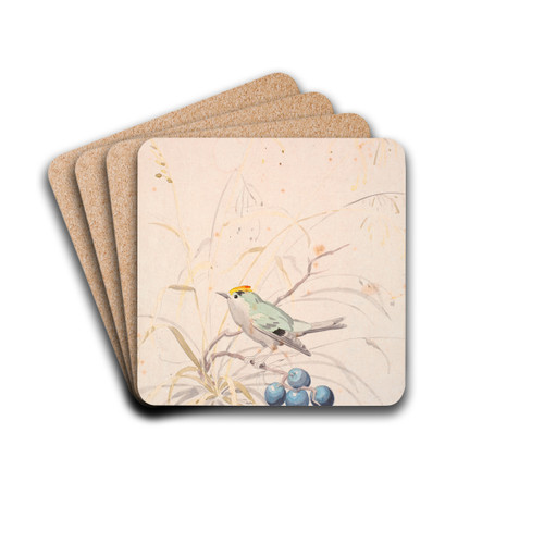 En fuglekonge p en slengren by P. C. Skovgaard Drink Coasters - set of 4